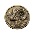 Rocky Mountain Bighorn Sheep